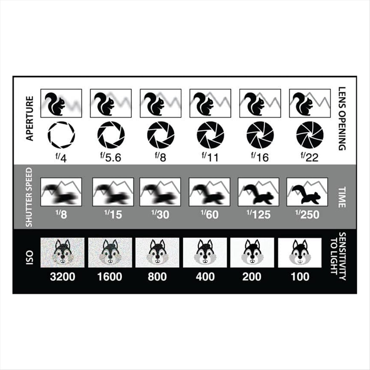 NewABNR Golden Triangle Compos - Photography Triangle บทวิจารณ์และราคา