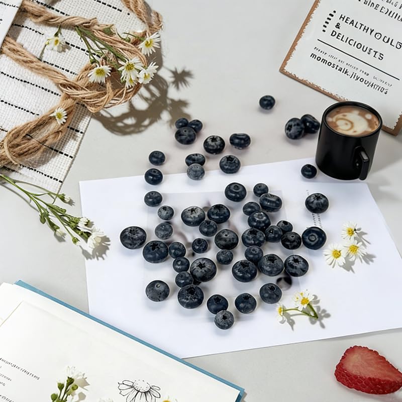 บลูเบอร์รี่ปลอม, ผลไม้จำลองเสม - Photography Food บทวิจารณ์และราคา